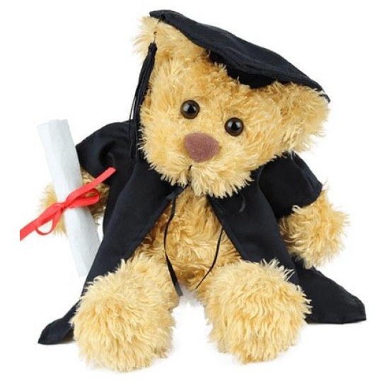 Rocky Graduation Bear Rocky Graduation Bear
